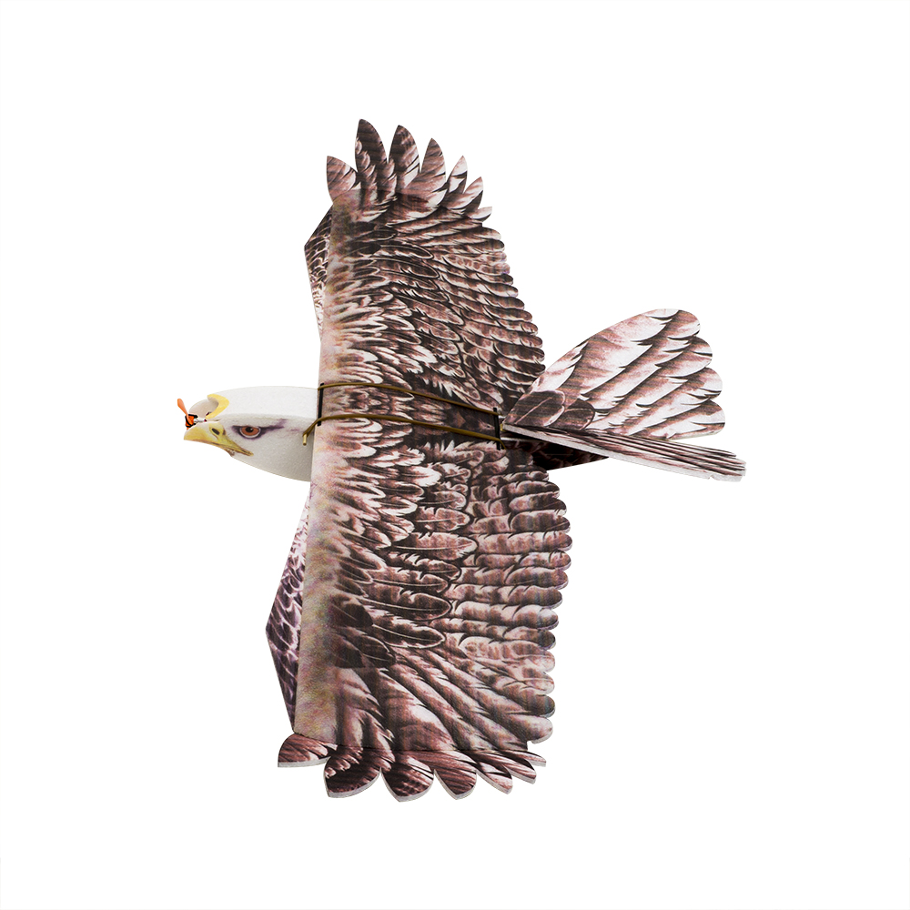 DW Hobby Eagle II EPP Vliegtui - Rc Hobby Experts recensie en prijs