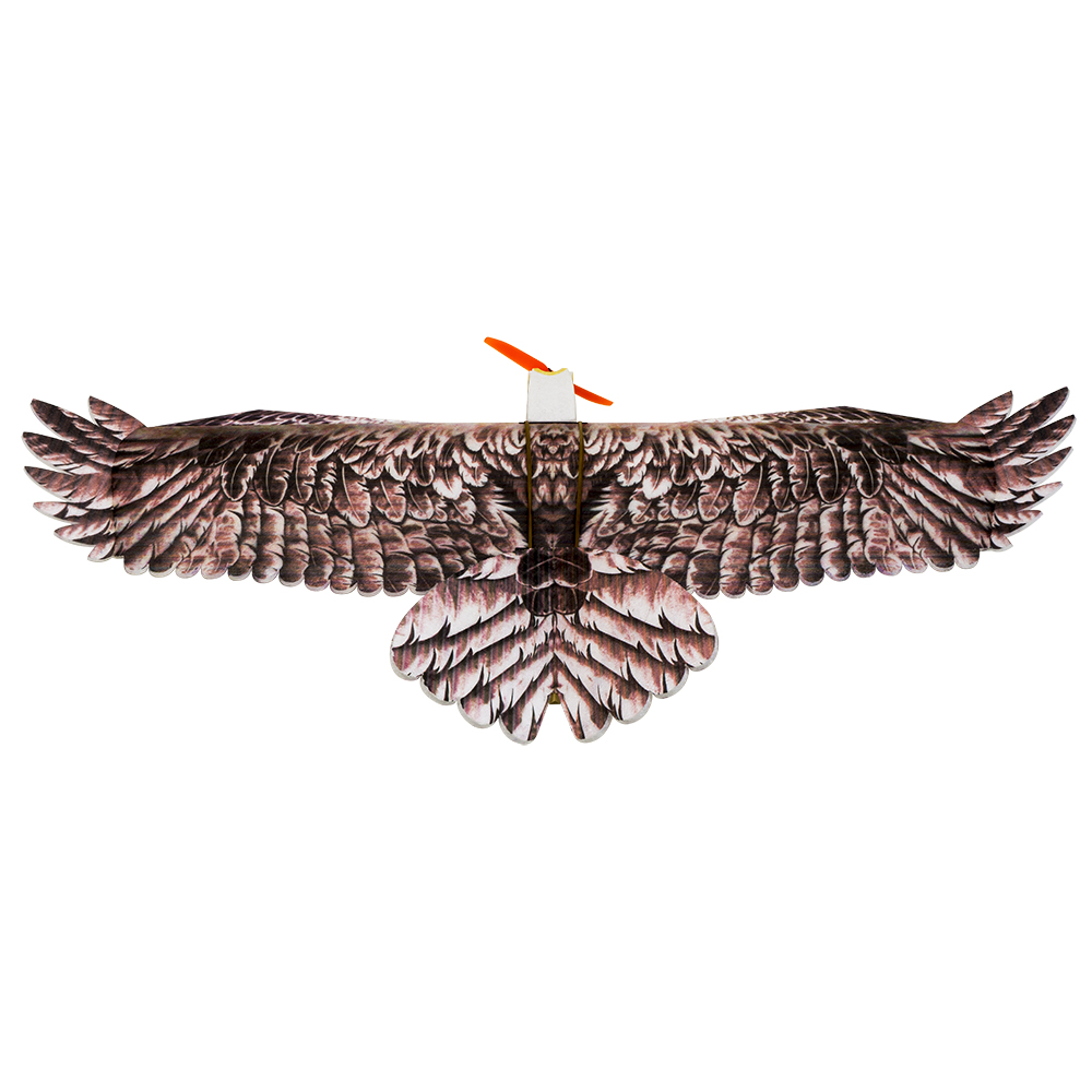 DW Hobby Eagle II EPP Vliegtui - Rc Hobby Experts recensie en prijs